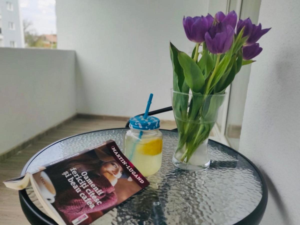 Roxi'S Apartment 锡比乌 外观 照片